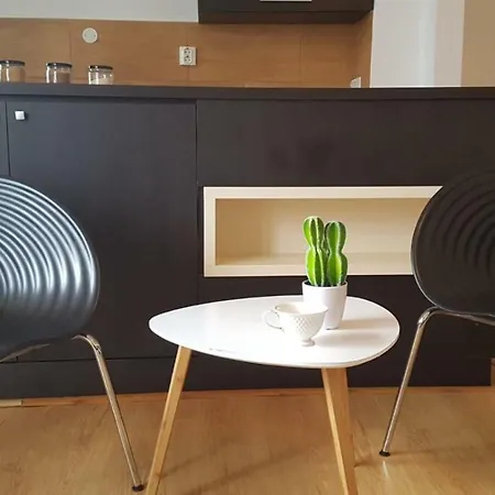 公寓 Cozy Stefan Cel Mare *